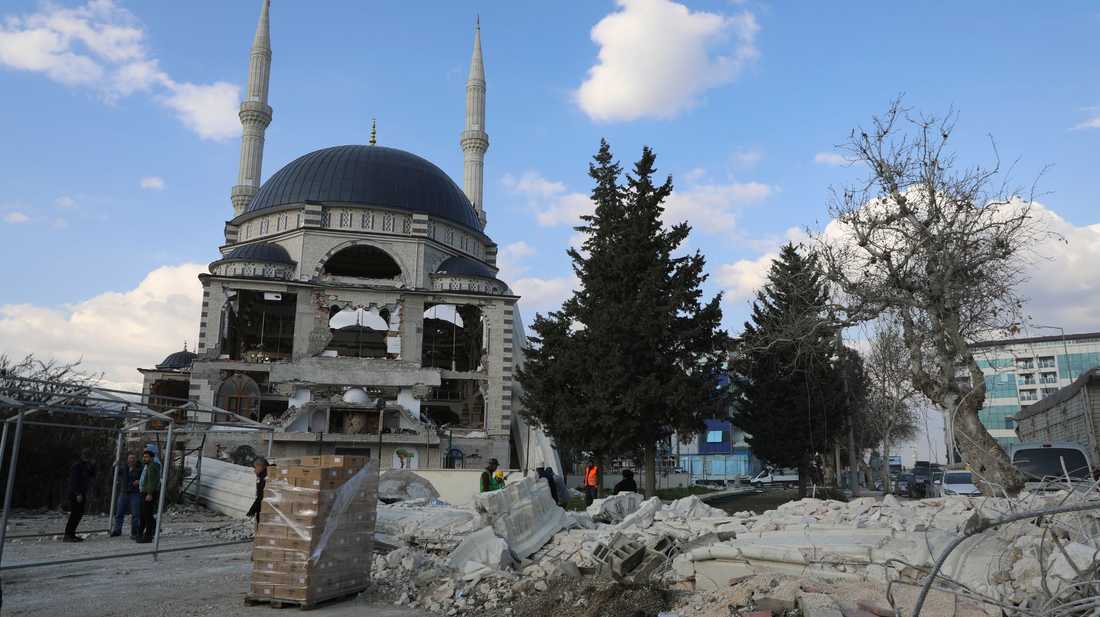 Terremoto in Turchia e Siria_sezione_primo piano