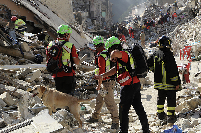 Diversi operatori del soccorso, un cane al guinzaglio sono impegnati in attività di ricerca  e soccorso tra le macerie causate dal terremoto